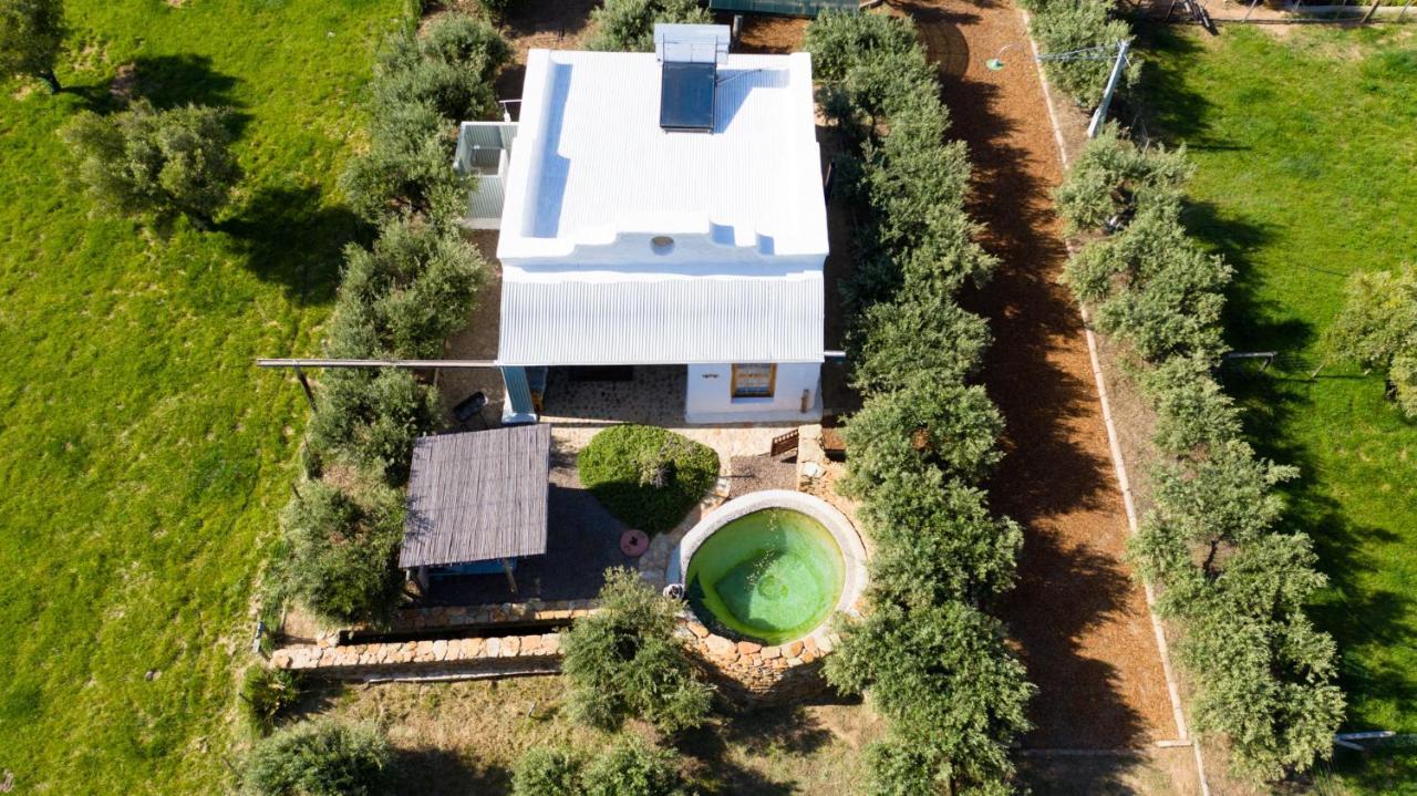 Vakantieboerderij Olive Stone Farm Montagu