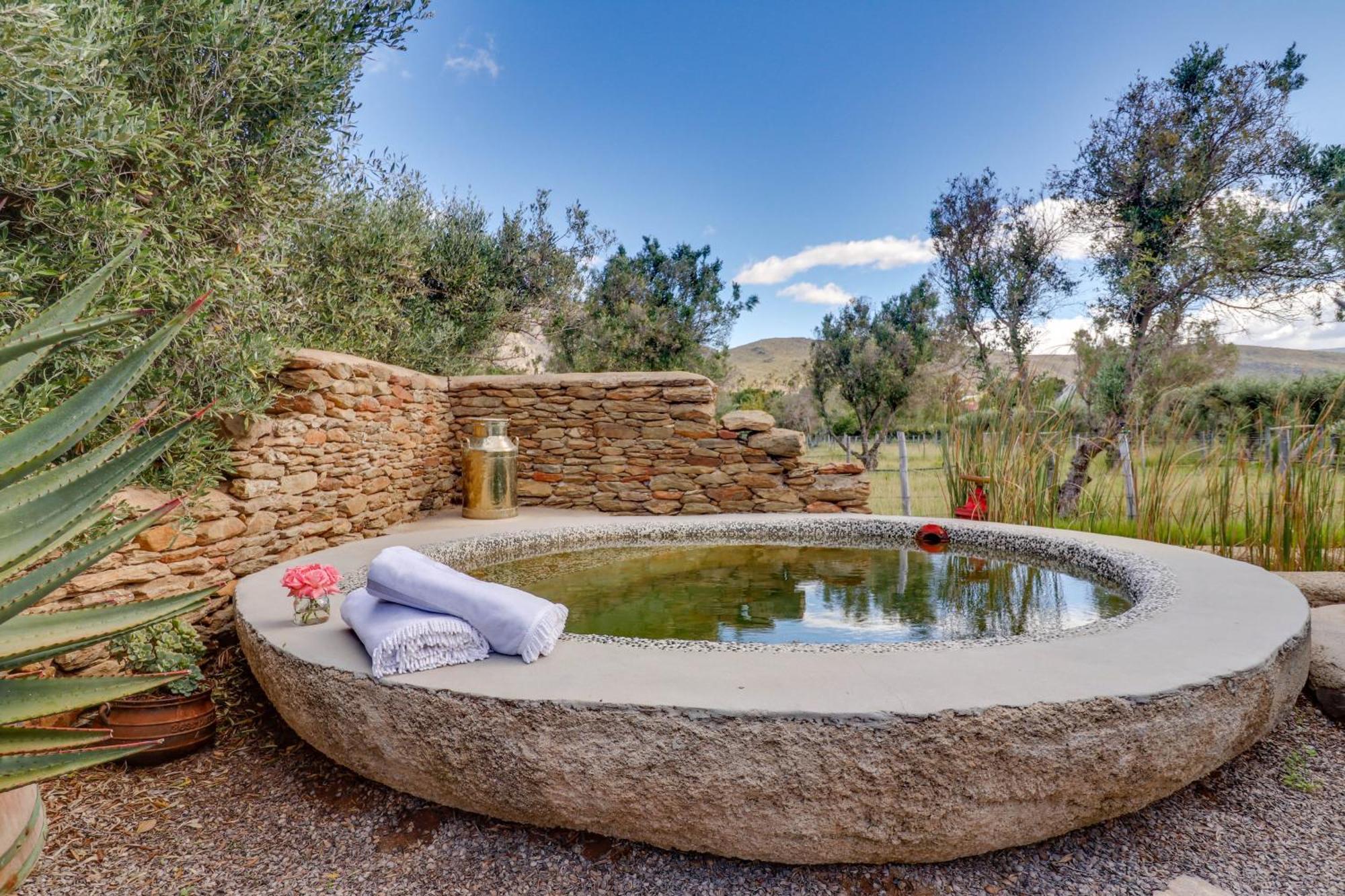 Olive Stone Farm *