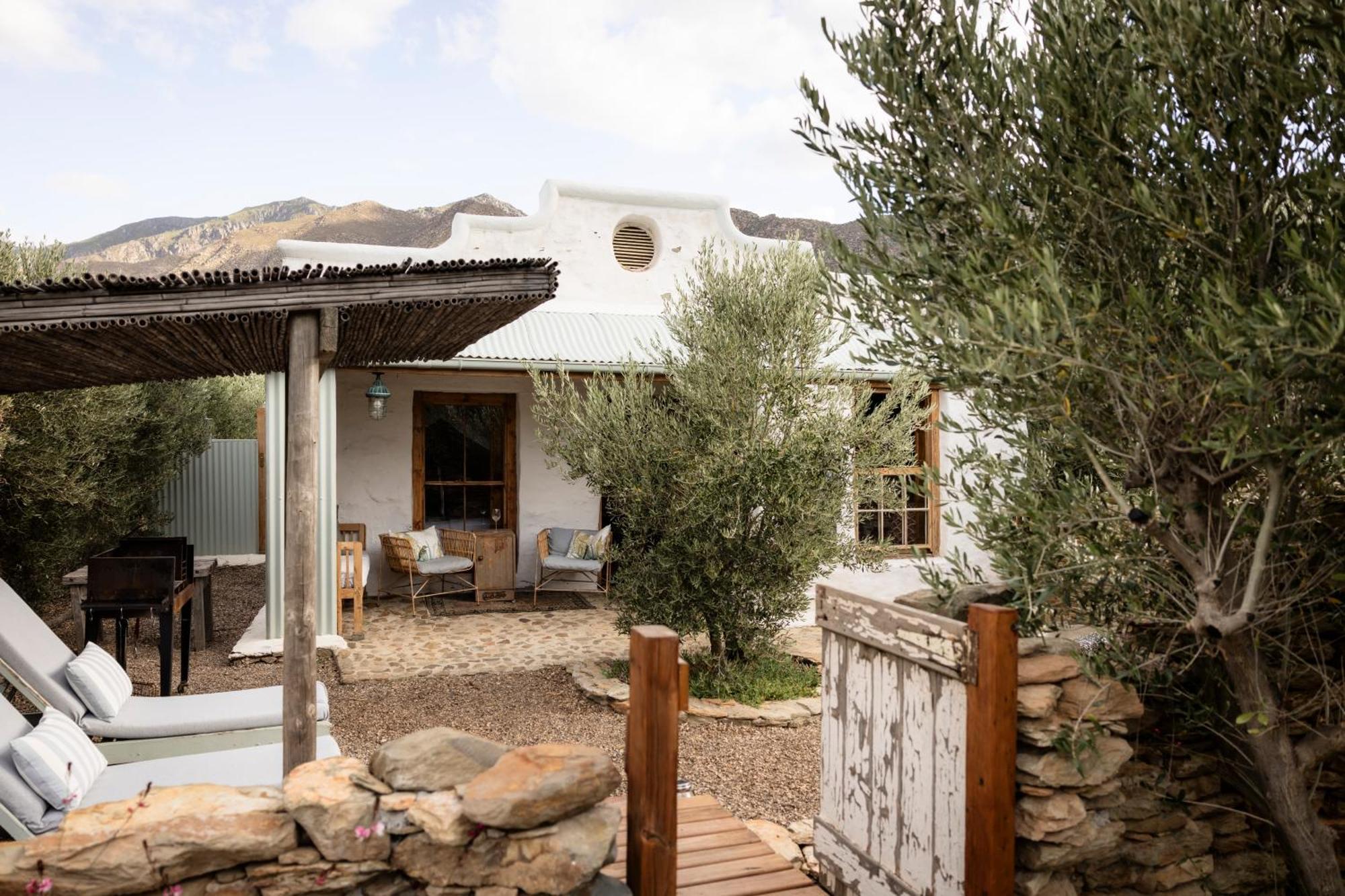 Olive Stone Farm Vakantieboerderij *