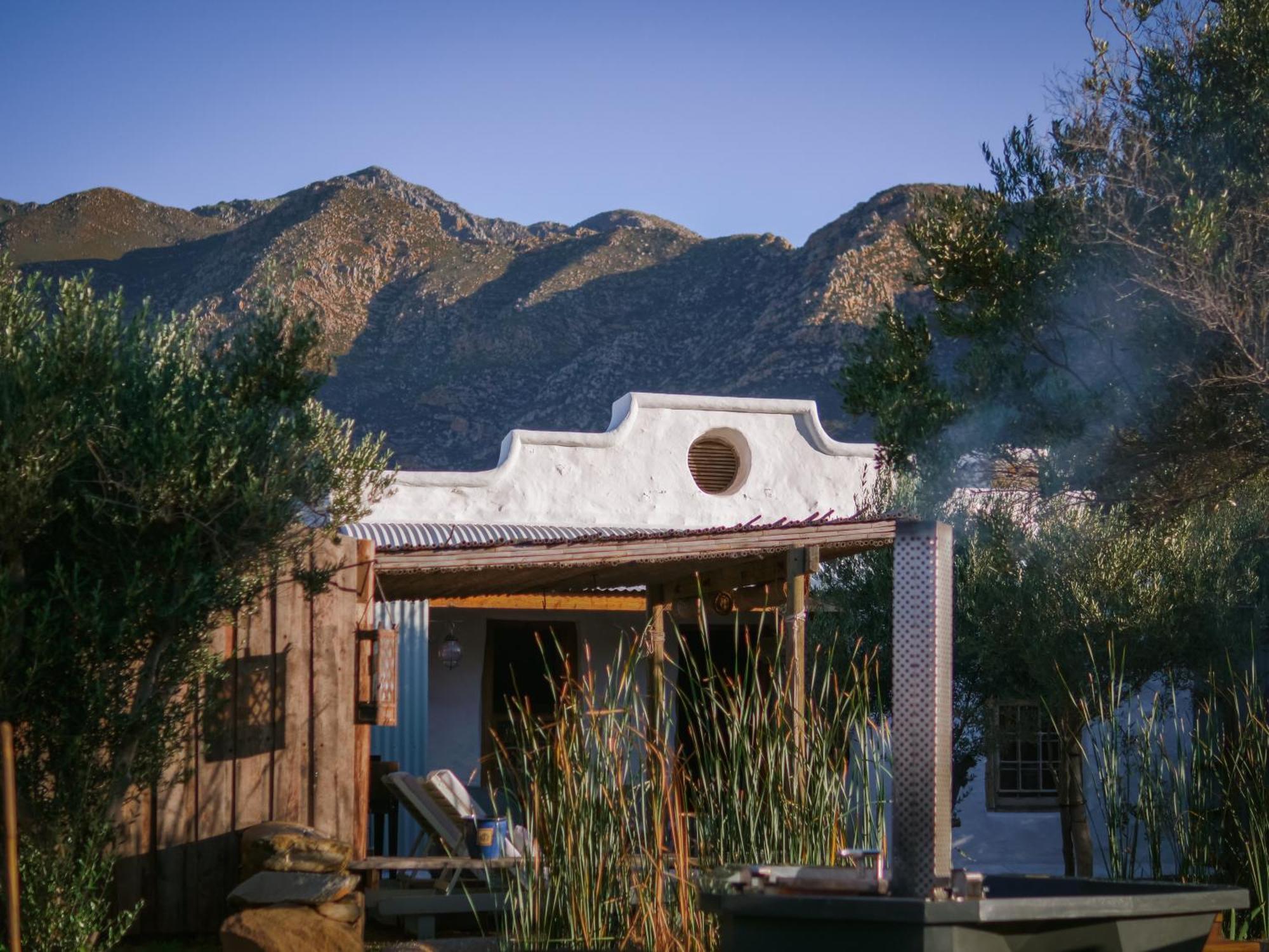 Olive Stone Farm *