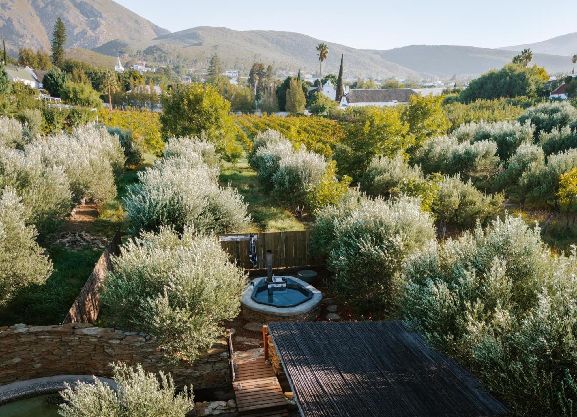 Olive Stone Farm Montagu